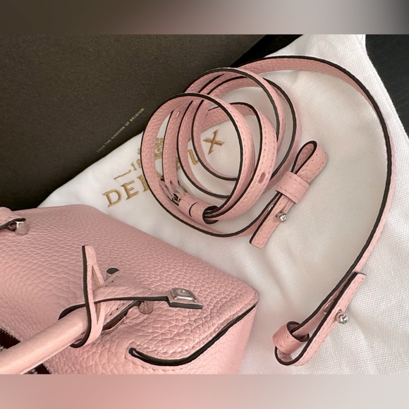 Delvaux cool box nano in bloom with silver hardware - Picture 7 of 12